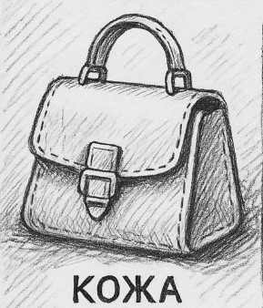 Кожа